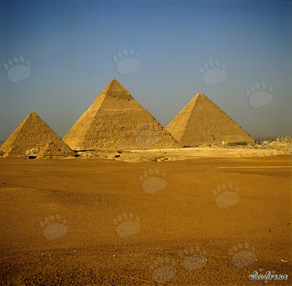 The Impressive Pyramids of Giza: Mykerinos, Chephren, and Cheops