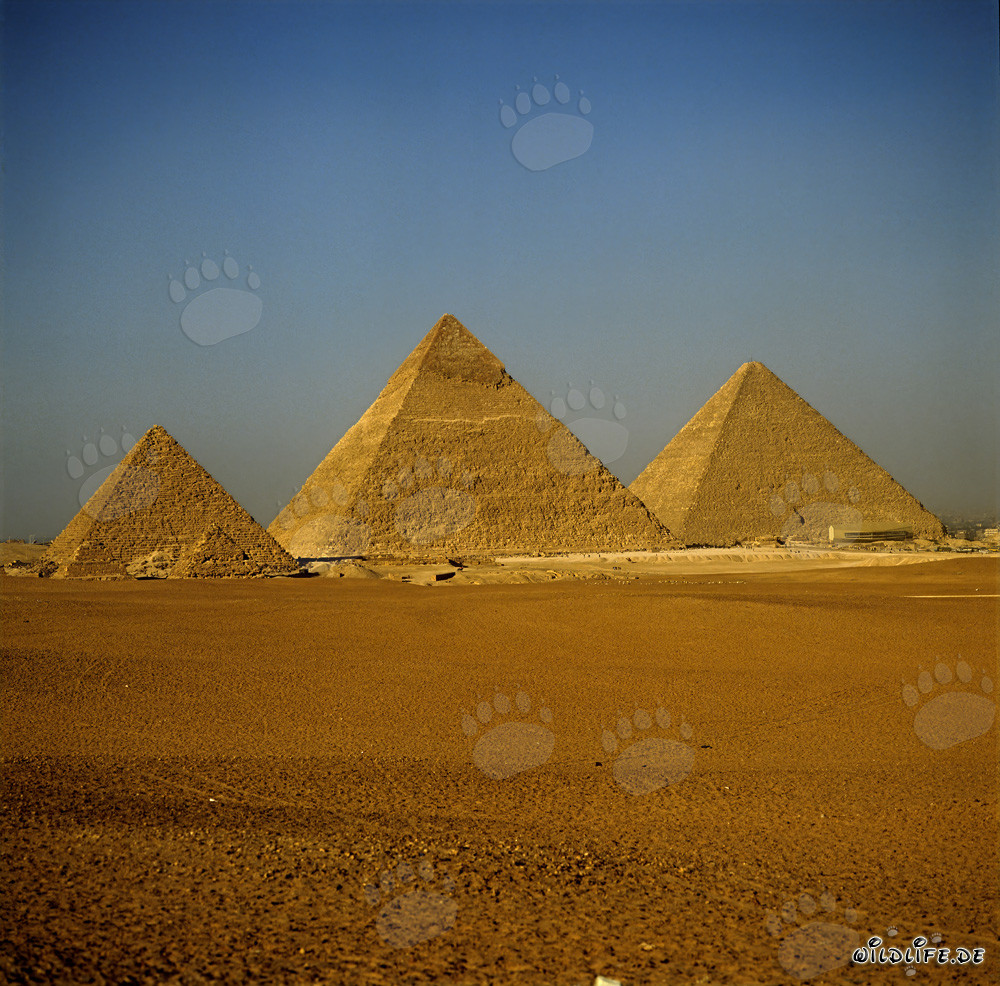Las impresionantes pirámides de Giza en Egipto