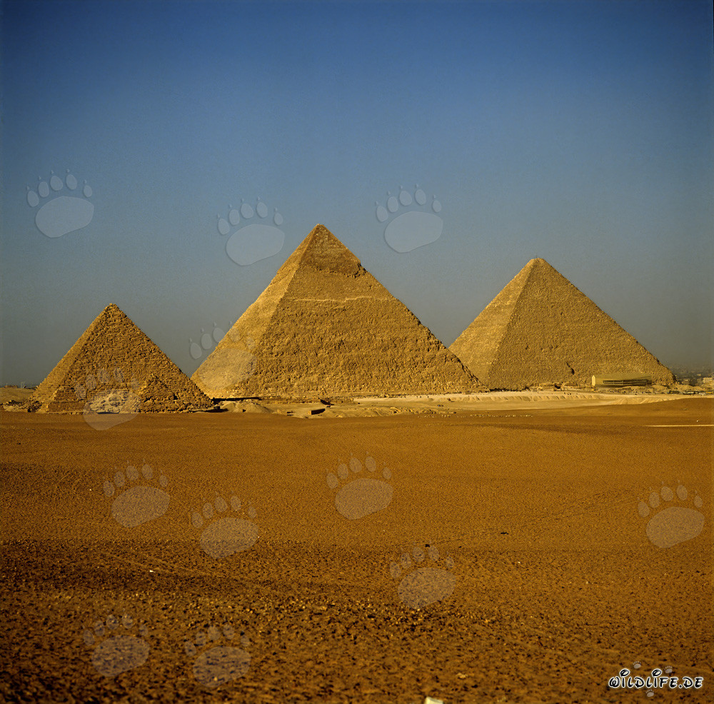 Le impressionanti piramidi di Giza in Egitto