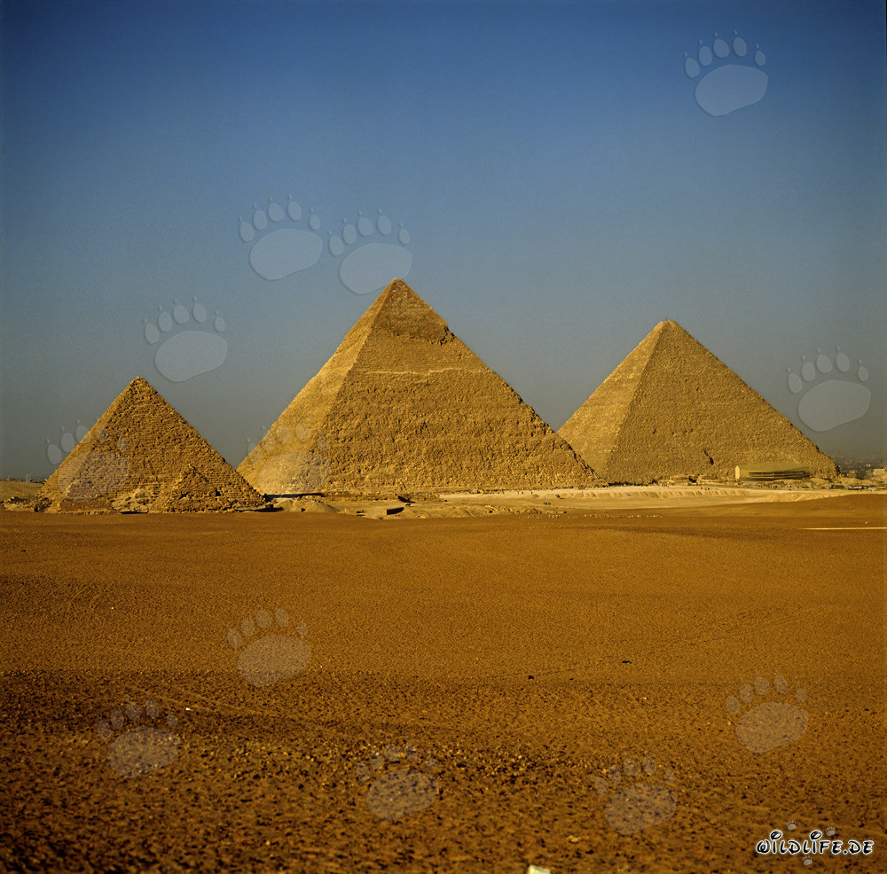 Die beeindruckenden Pyramiden von Gizeh in Ägypten