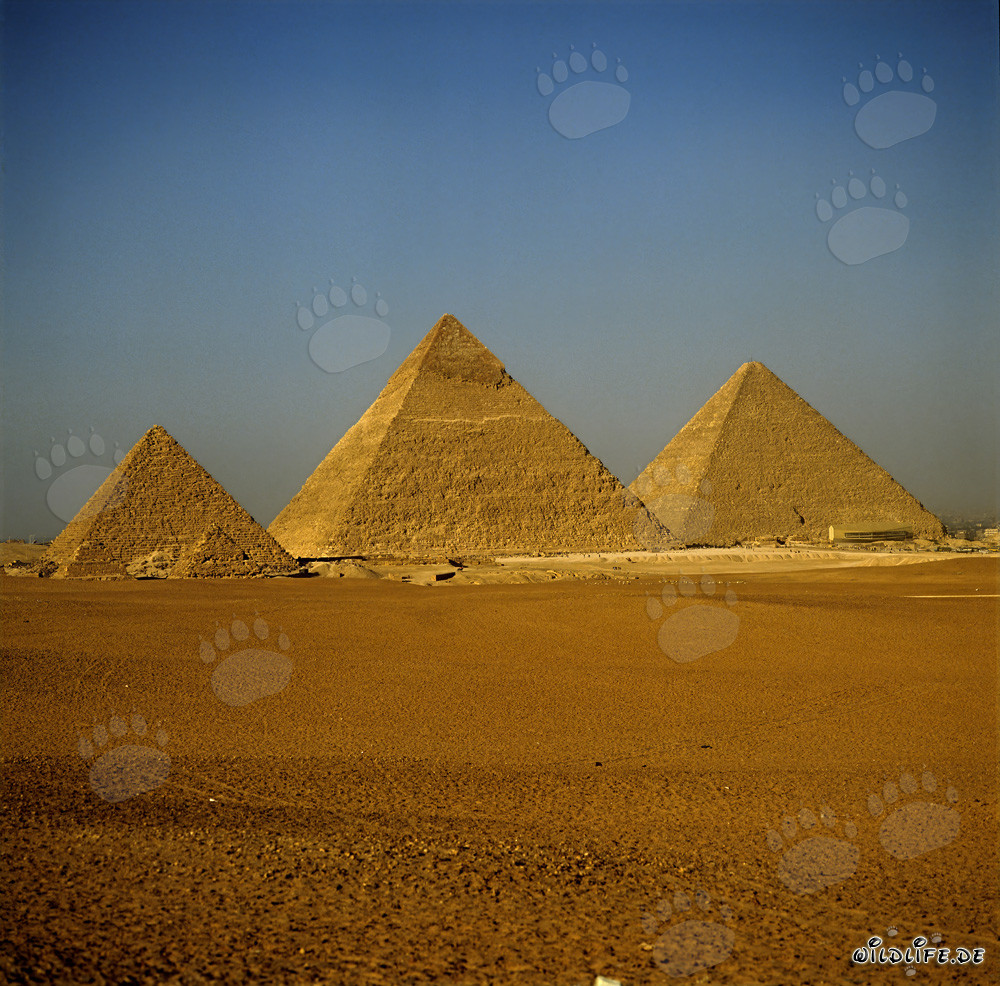 The Impressive Pyramids of Giza in Egypt