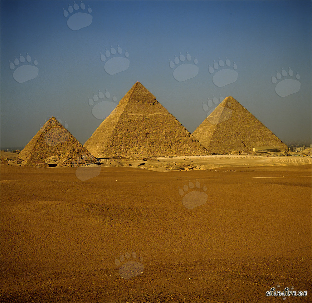 Great Pyramids of Giza
