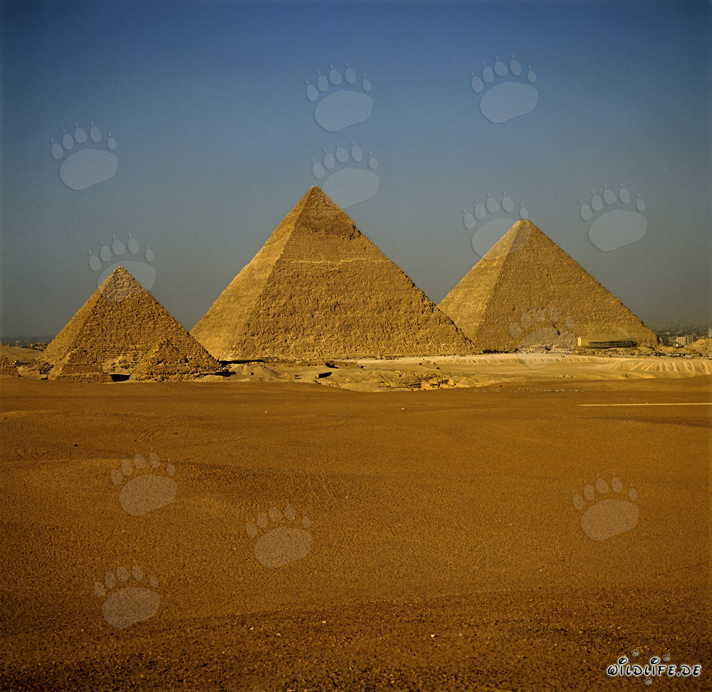Le piramidi di Giza