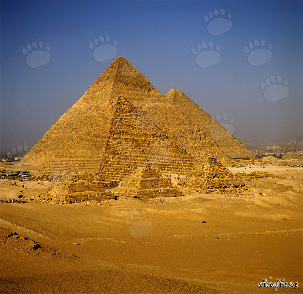 Las pirámides de Micerinos, Kefrén y Keops en Giza
