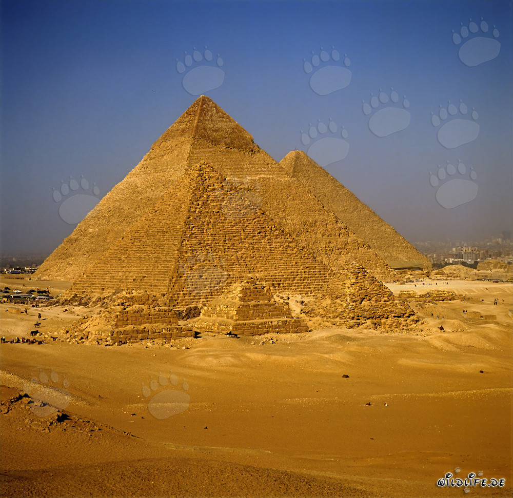 Le piramidi di Micerino, Chefren e Cheope a Giza
