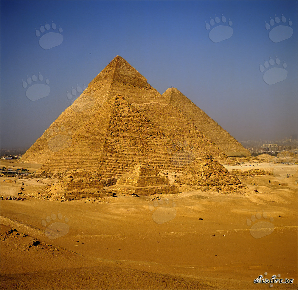 Die Pyramiden von Mykerinos, Chephren und Cheops in Gizeh