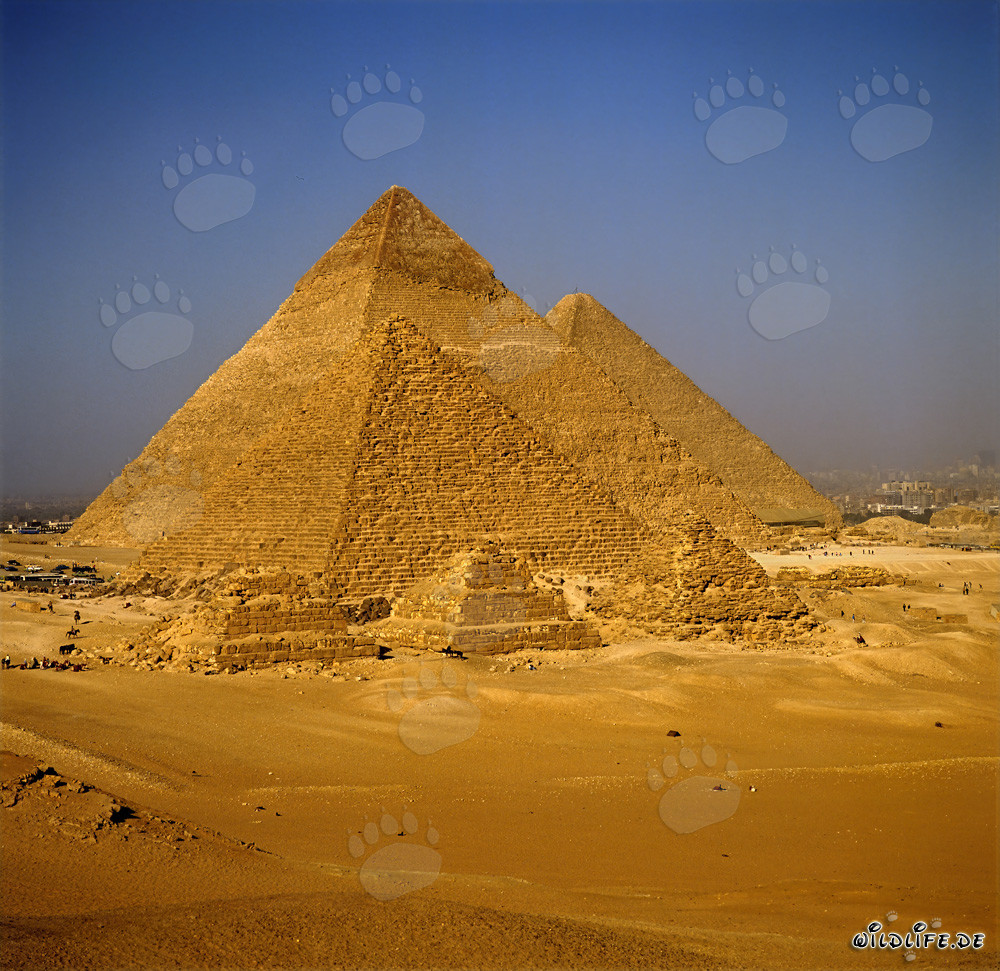Les pyramides de Mykérinos, Khephren et Khéops à Gizeh