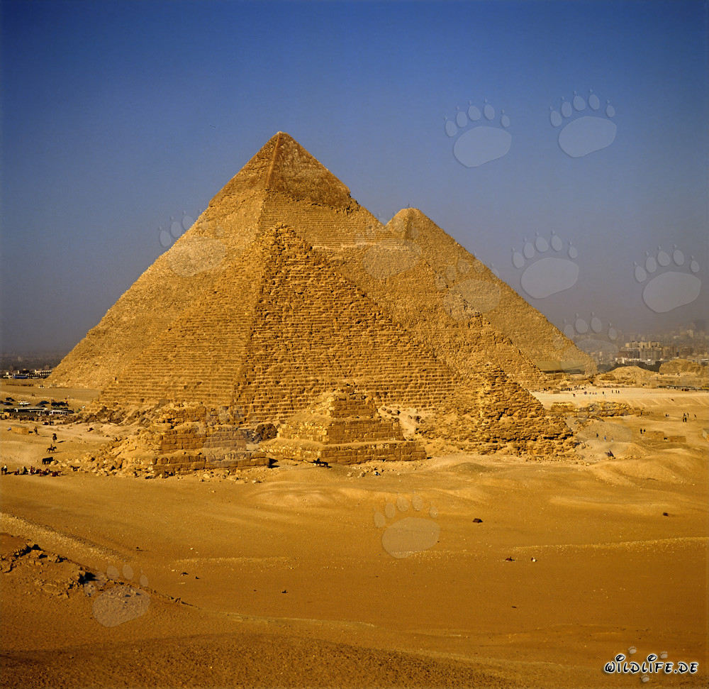 The Pyramids of Mykerinos, Chephren, and Cheops in Giza