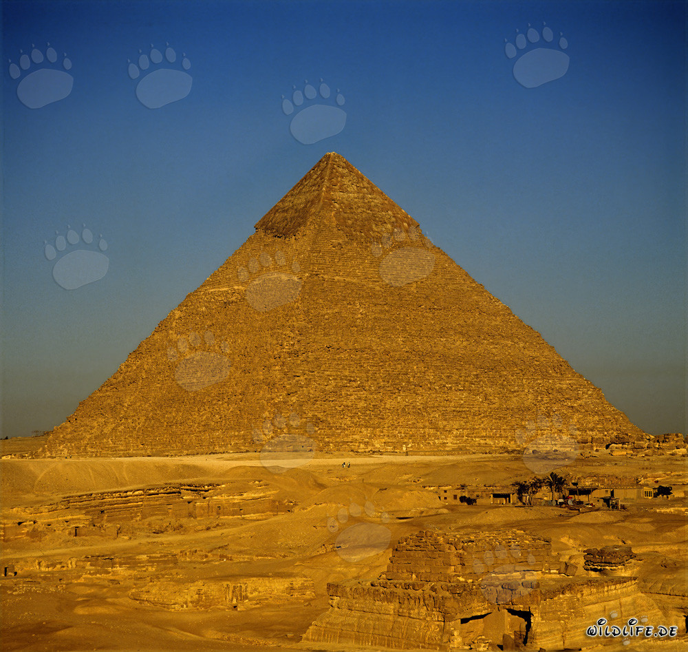 The majestic Pyramid of Khephren in Giza
