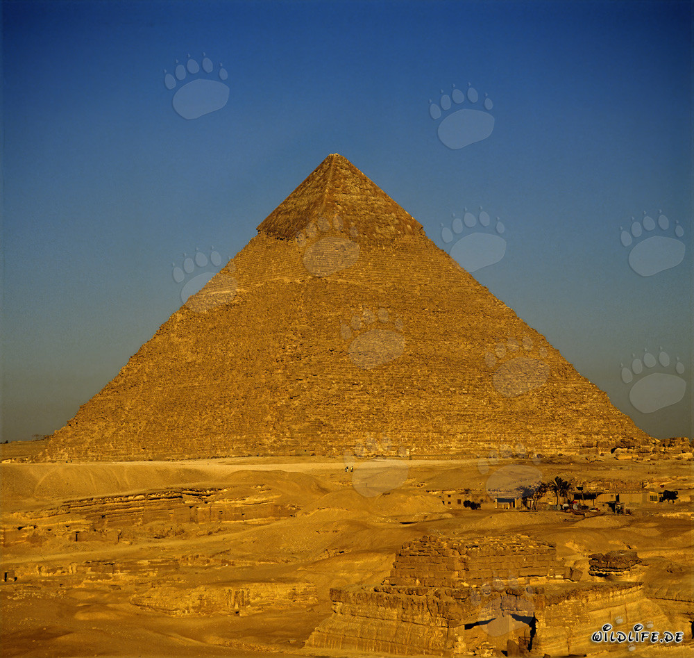 La majestueuse pyramide de Kheops à Gizeh