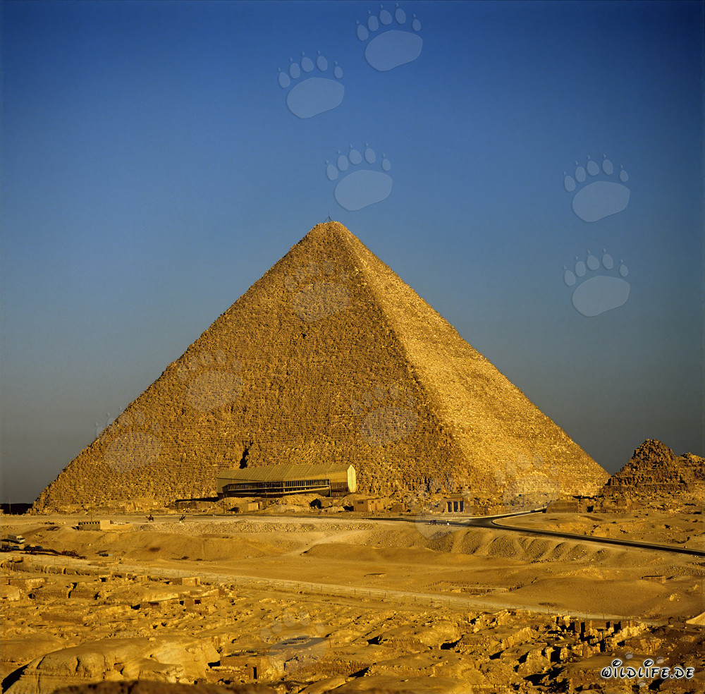 La majestueuse pyramide de Khéops en Égypte