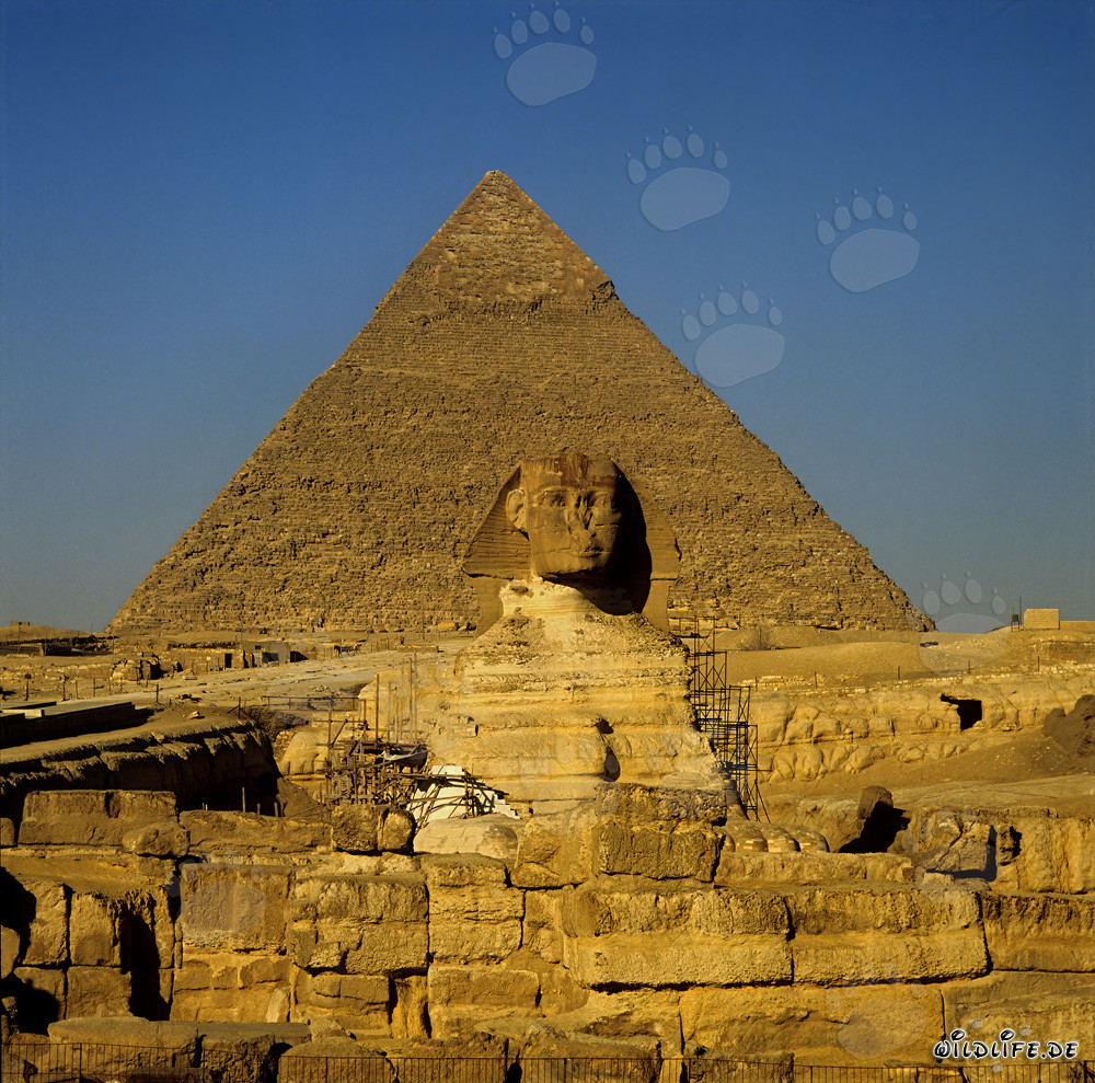 Gran Esfinge frente a la imponente pirámide de Kefrén en Egipto
