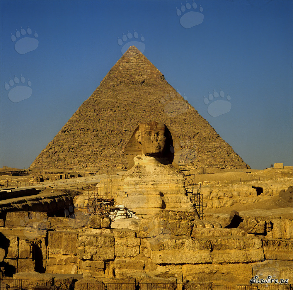 Grande Sfinge di fronte all'imponente piramide di Chefren in Egitto