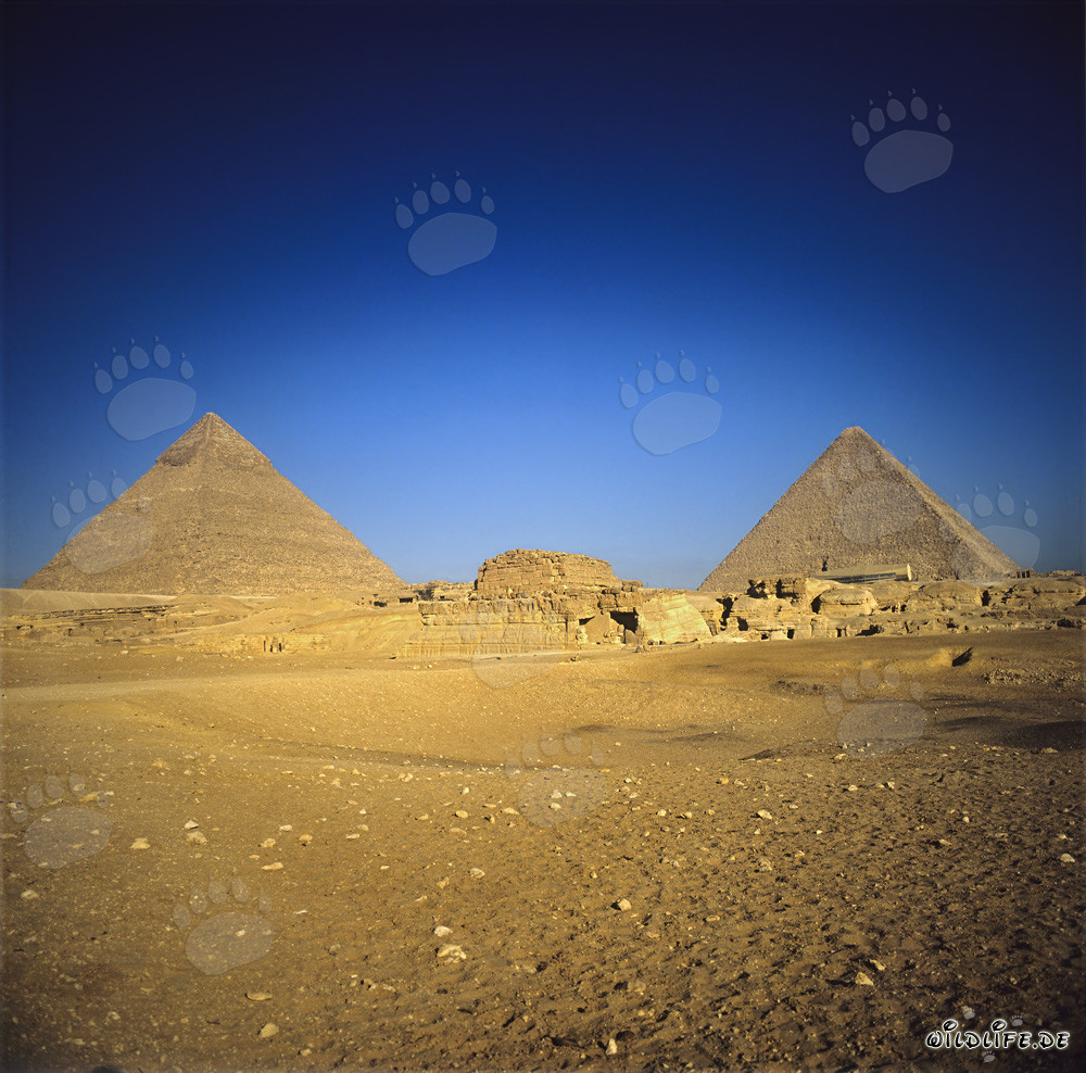 Las majestuosas pirámides de Kefrén y Keops en Giza