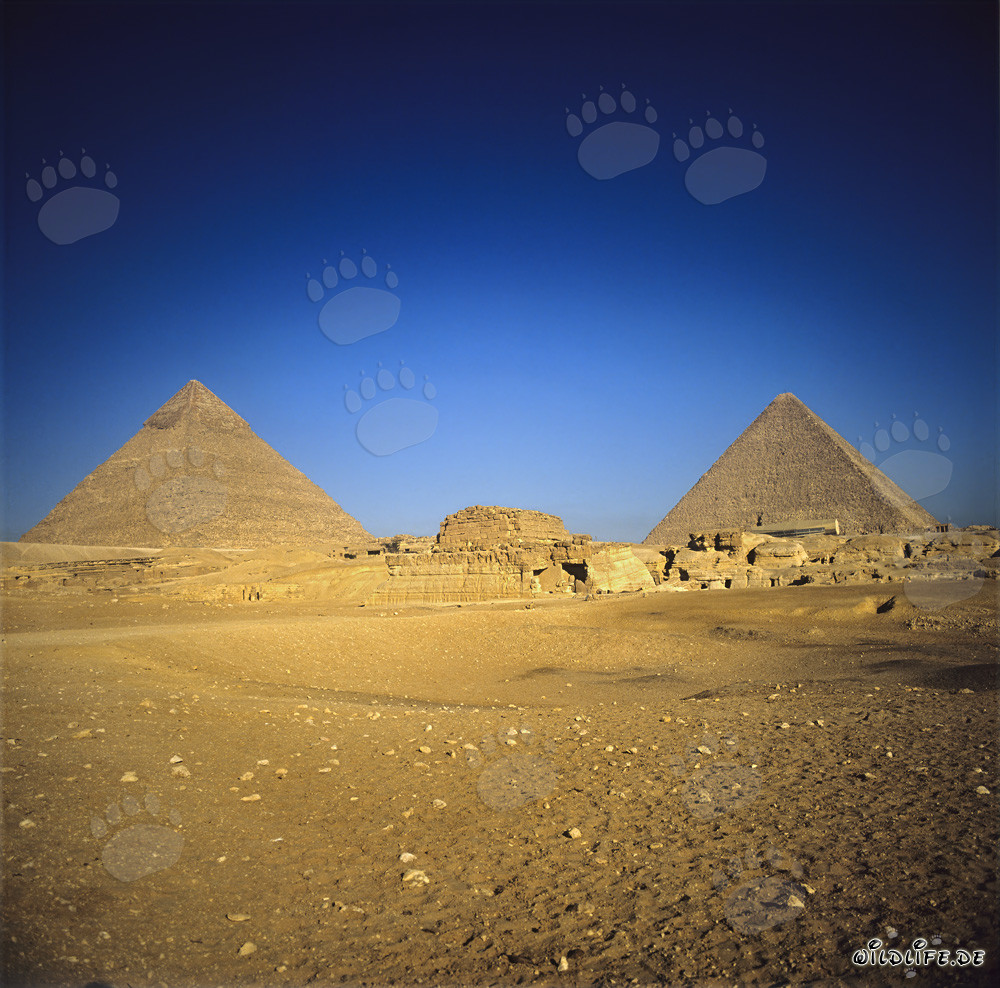 Le maestose piramidi di Chefren e Cheope a Giza