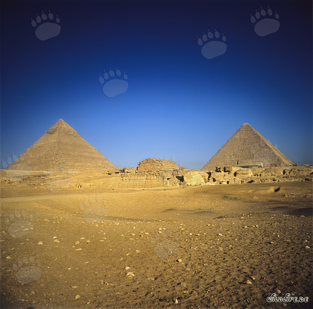Die majestätischen Pyramiden von Chephren und Cheops in Gizeh
