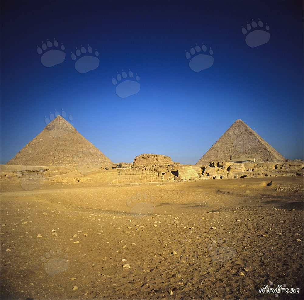 Les majestueuses pyramides de Khéphren et de Khéops à Gizeh