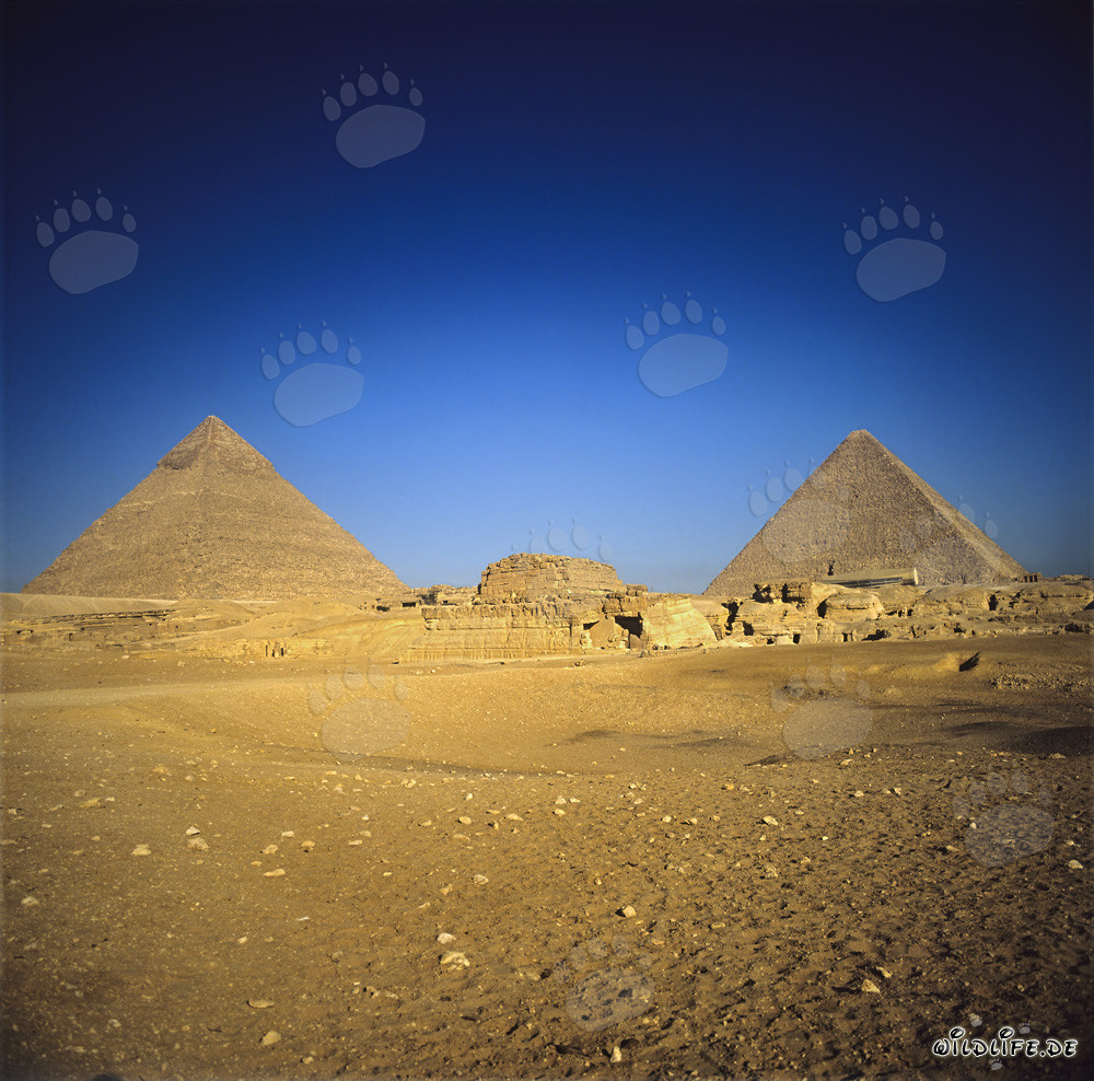 The majestic pyramids of Khephren and Khufu in Giza