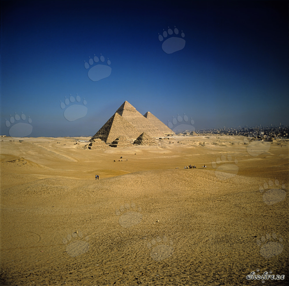 Las majestuosas pirámides de Giza: Micerinos, Kefrén y Keops