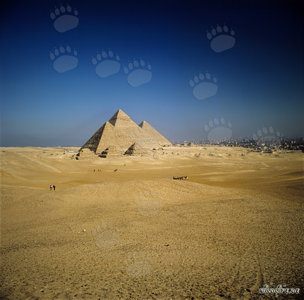 Die beeindruckenden Pyramiden von Gizeh in Ägypten
