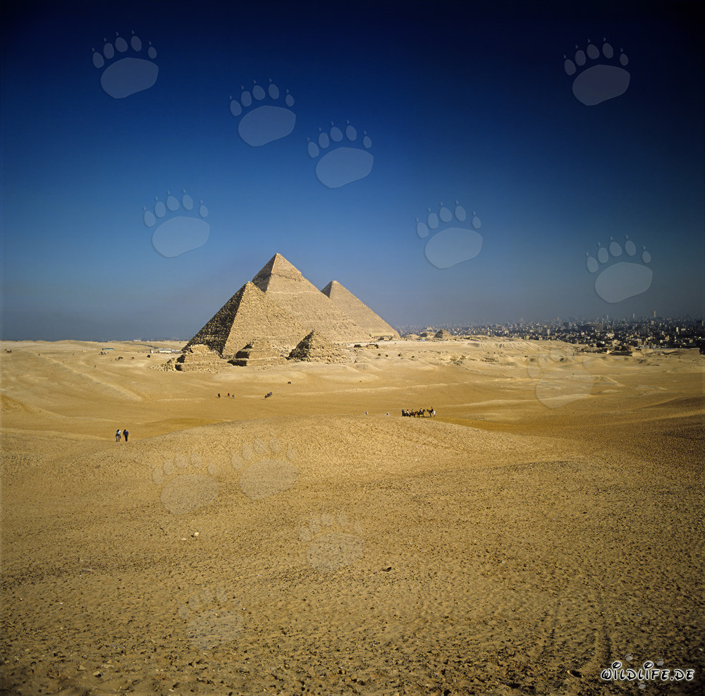 The Impressive Pyramids of Giza in Egypt