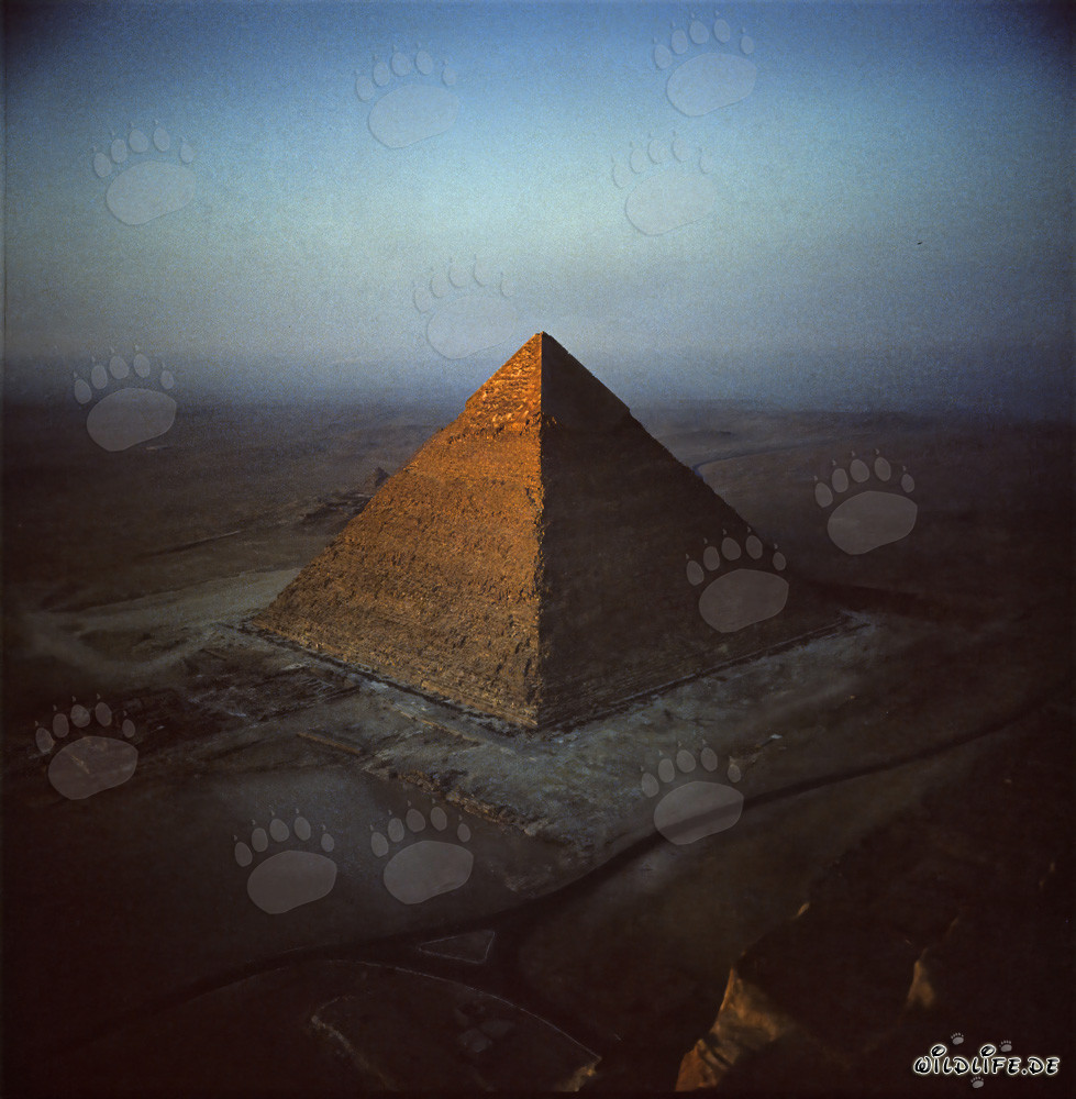 View from the Great Pyramid to the Pyramid of Khafre in Giza