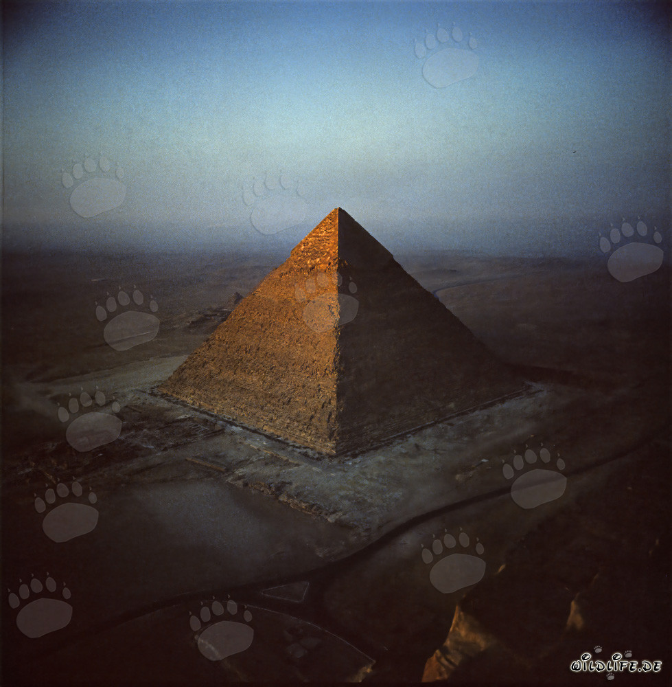 Blick von der Cheops-Pyramide auf die Pyramide des Chephren in Gizeh