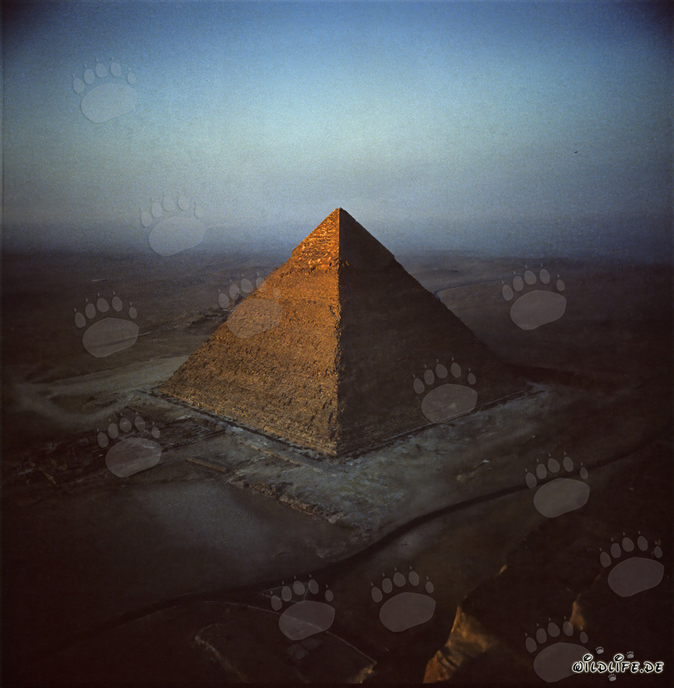 Vue de la pyramide de Khéops sur la pyramide de Khéphren à Gizeh