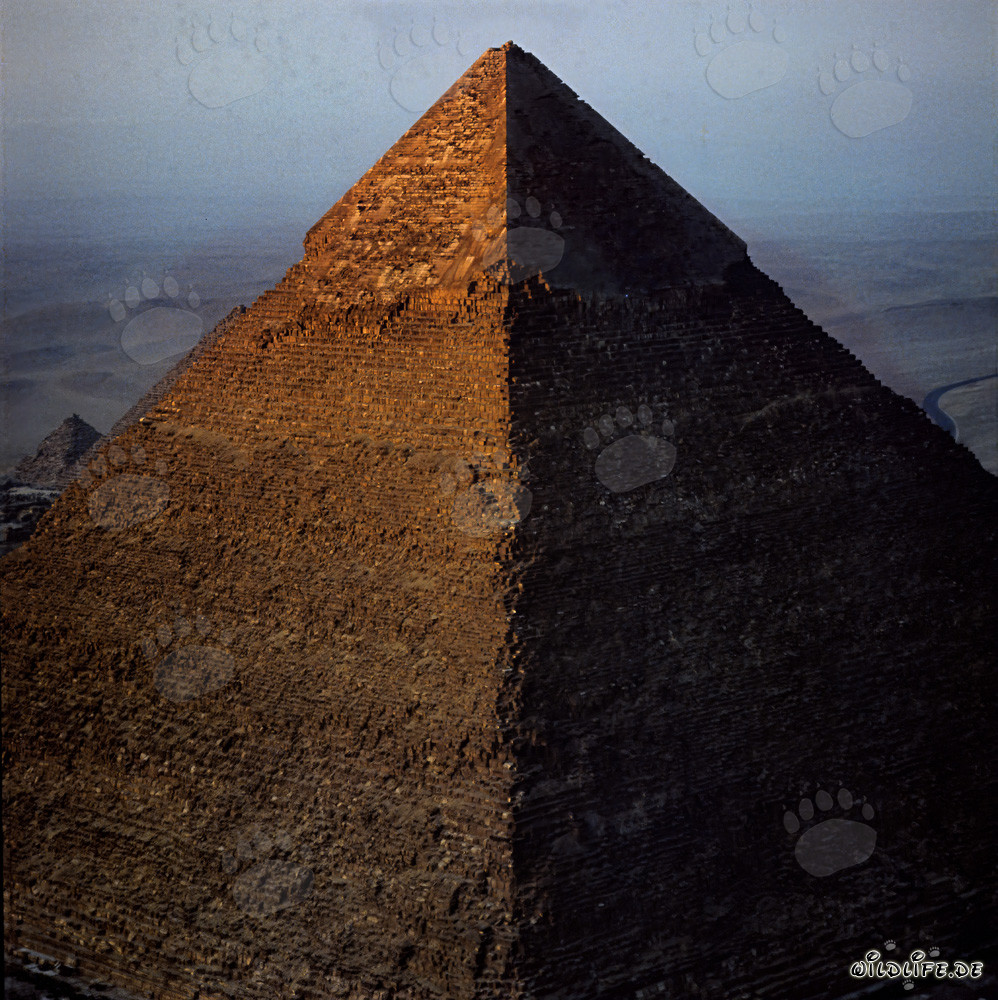 The Chephren Pyramid shining in the golden morning light