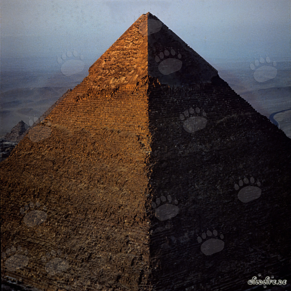 Chephren-Pyramide im goldenen Morgenlicht strahlend hervorgehoben