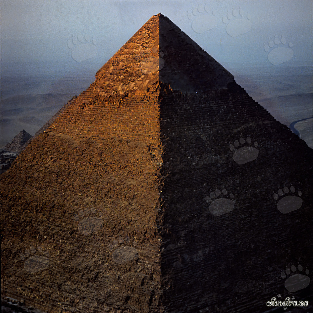 Piramide di Chefren risplendente sotto la luce dorata del mattino