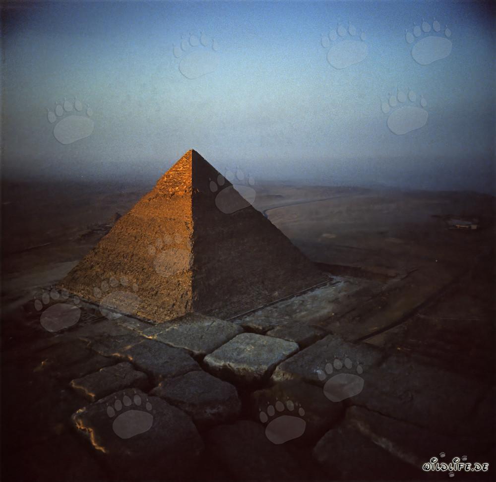 Vista dalla cima della piramide di Cheope sulla piramide di Chefren