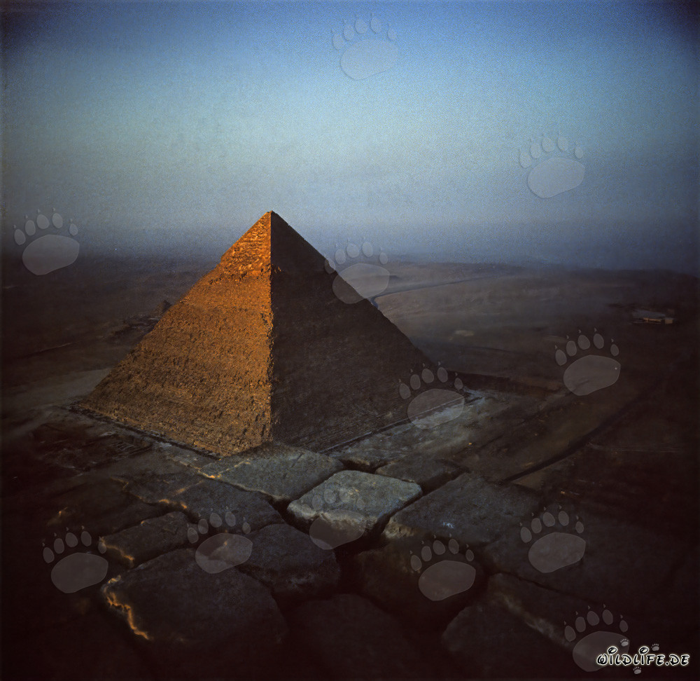 Blick von der Cheopspyramidenspitze auf die Pyramide Chephren