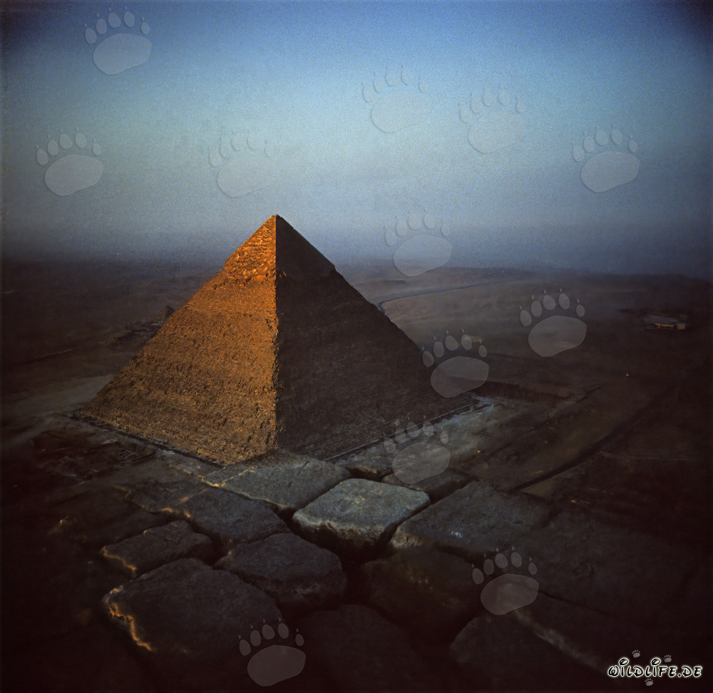 Vue depuis le sommet de la pyramide de Khéops sur la pyramide de Khéphren