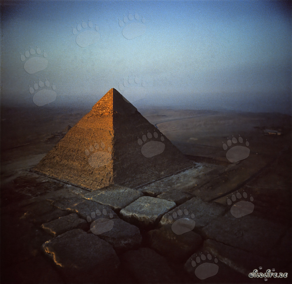 View from the top of the Great Pyramid of Giza to the Pyramid of Khafre