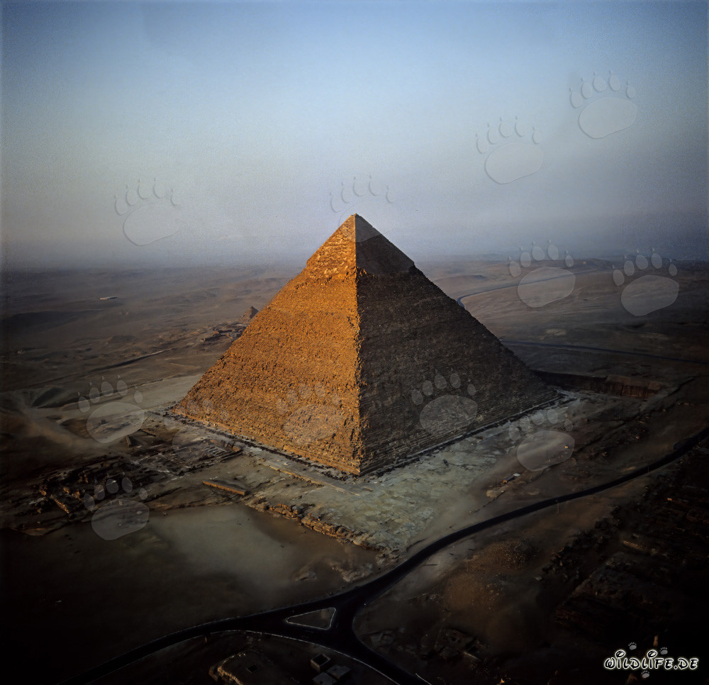 Die majestätische Chephren-Pyramide im goldenen Morgenlicht von Gizeh