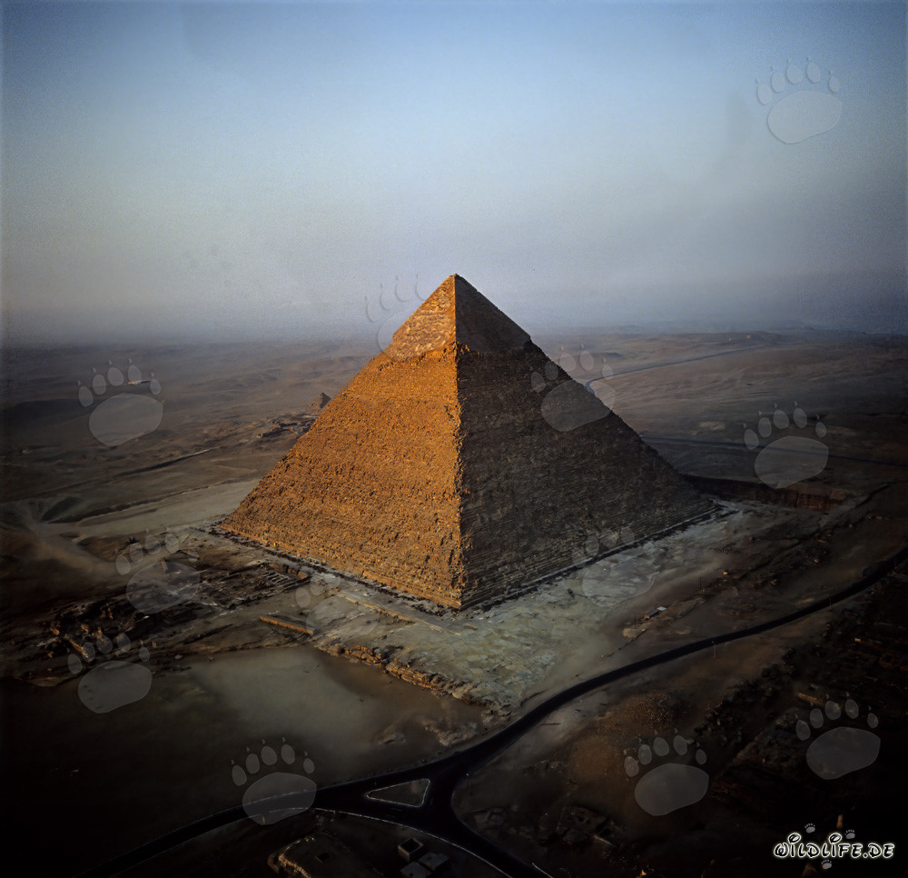 La maestosa piramide di Chefren nella luce dorata del mattino a Giza