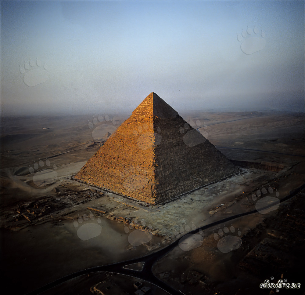 The majestic Pyramid of Khephren in the golden morning light at Giza