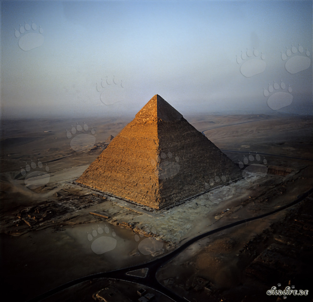 La majestueuse pyramide de Khéphren dans la lumière dorée du matin à Gizeh