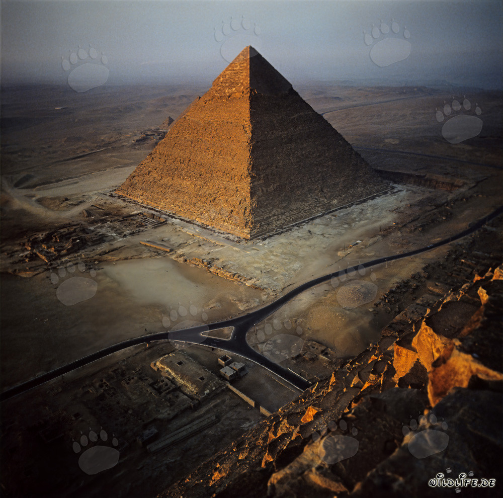Prima mattina alla piramide di Chefren a Giza