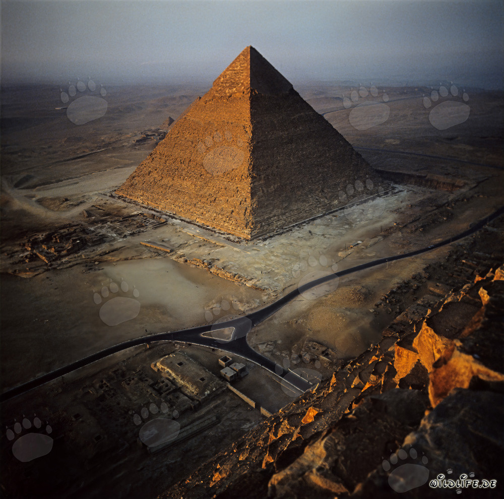 Früher Morgen an der Chephren-Pyramide in Gizeh