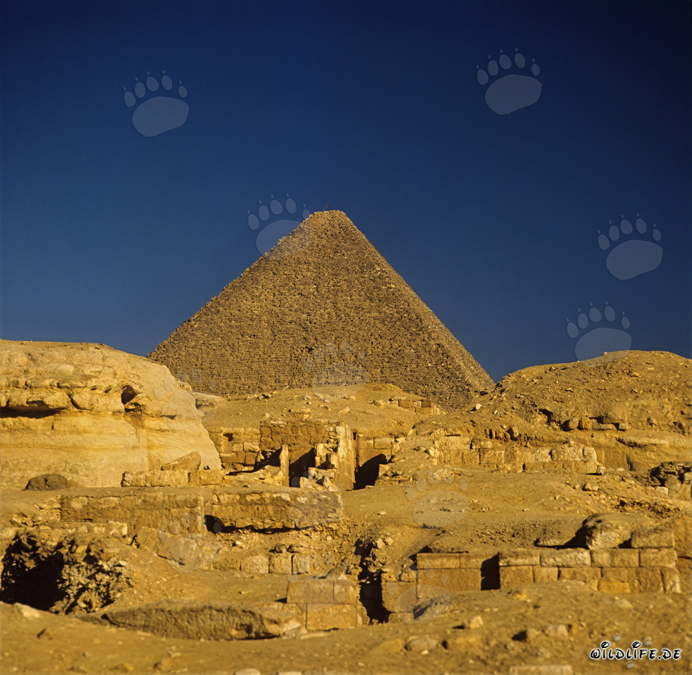 Die beeindruckende Cheops-Pyramide in Gizeh, Ägypten