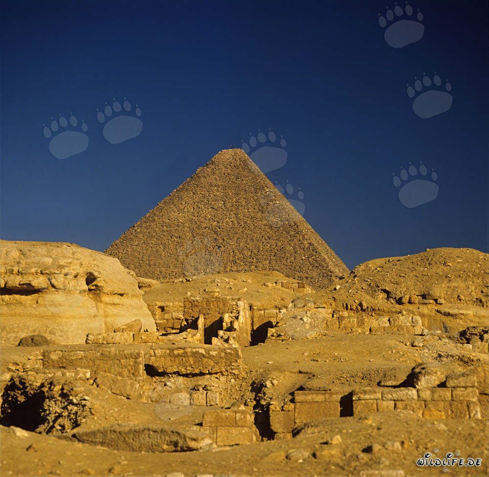 L'impressionante piramide di Cheope a Giza, Egitto