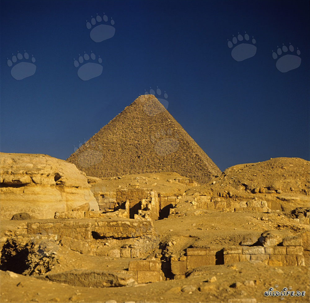 The impressive Pyramid of Cheops in Giza, Egypt