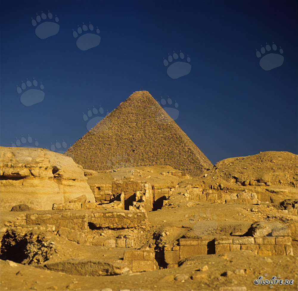 La magnifique pyramide de Khéops à Gizeh, Égypte