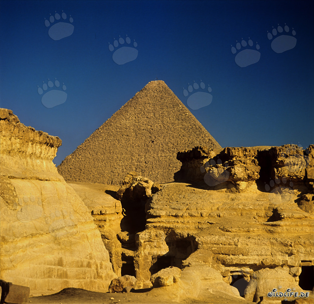 Die majestätische Cheops-Pyramide erhebt sich aus der Wüste