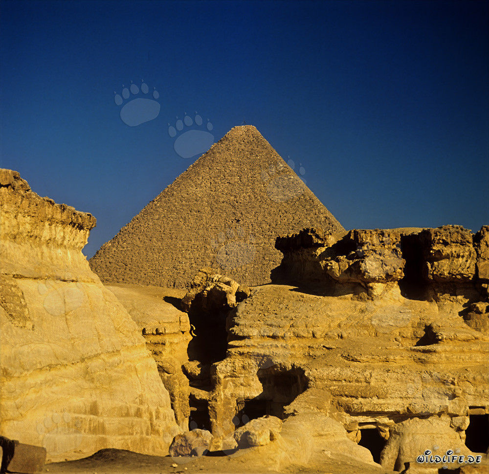 La maestosa piramide di Cheope si erge nel deserto