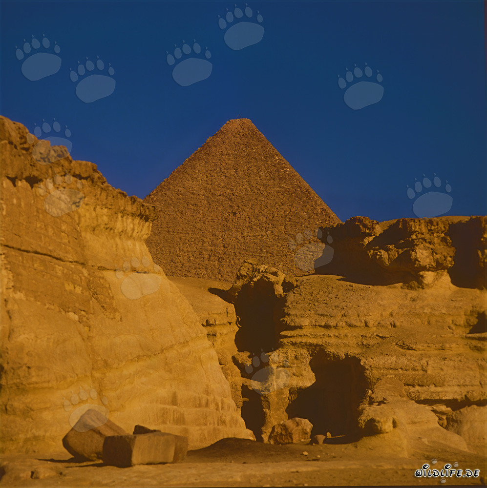 Die majestätische Cheops-Pyramide in Ägypten