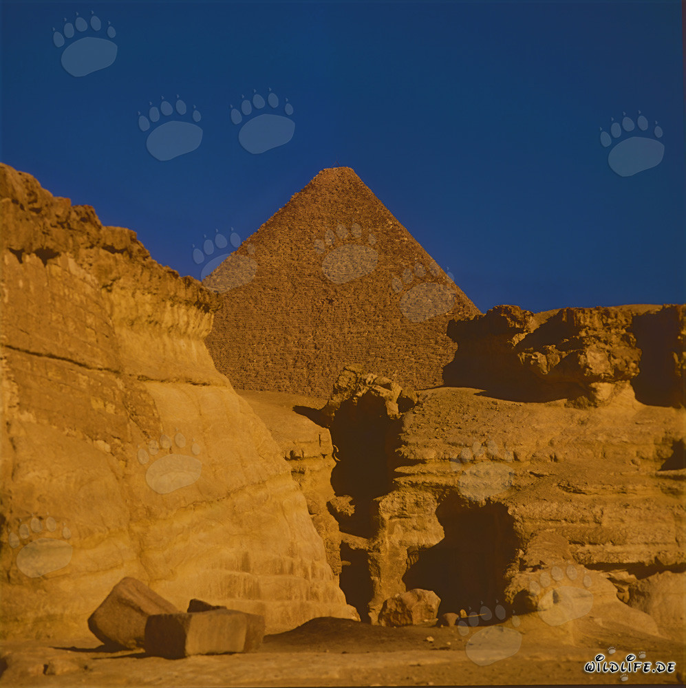 The Majestic Pyramid of Cheops in Egypt