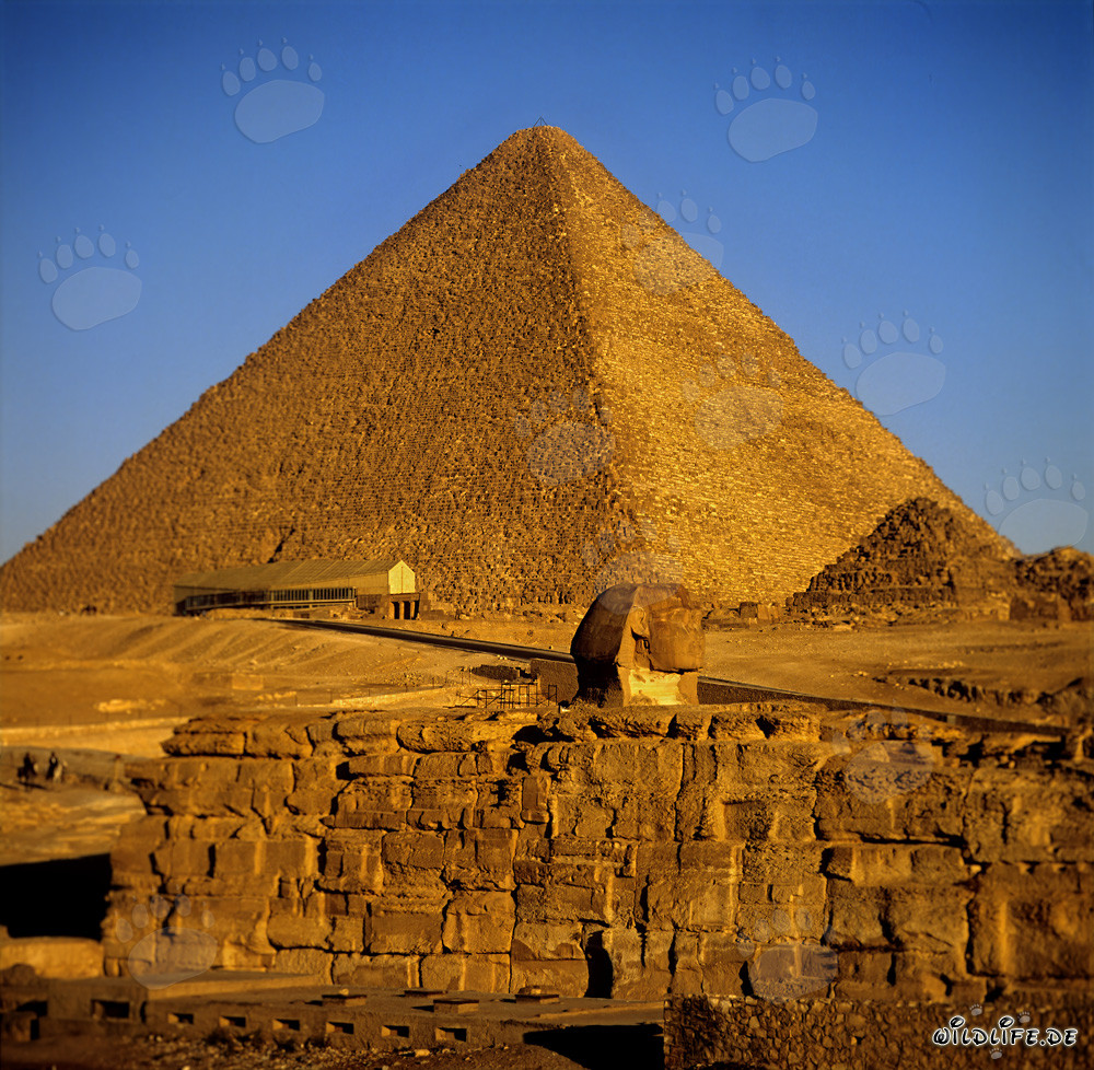 La maestosa piramide di Cheope in Egitto